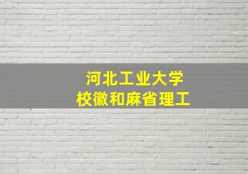 河北工业大学校徽和麻省理工