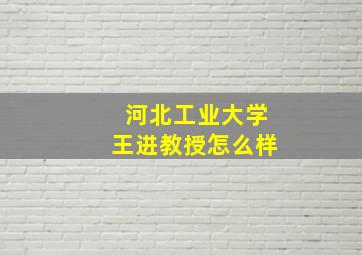 河北工业大学王进教授怎么样