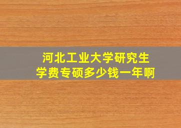 河北工业大学研究生学费专硕多少钱一年啊