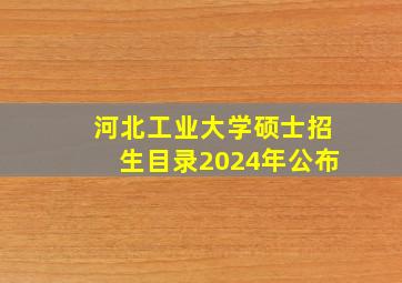 河北工业大学硕士招生目录2024年公布