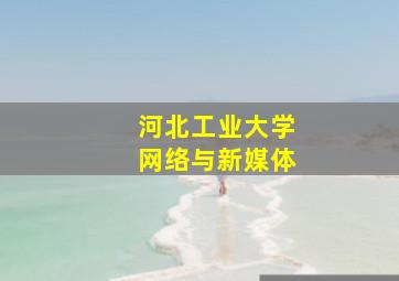 河北工业大学网络与新媒体