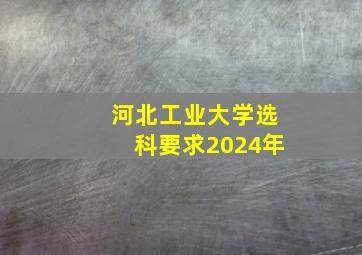 河北工业大学选科要求2024年