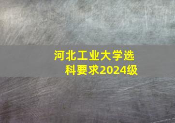 河北工业大学选科要求2024级