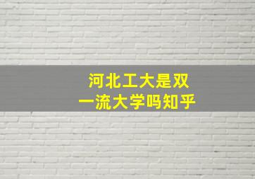 河北工大是双一流大学吗知乎