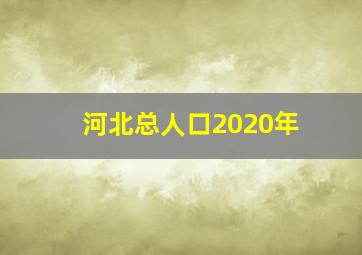 河北总人口2020年