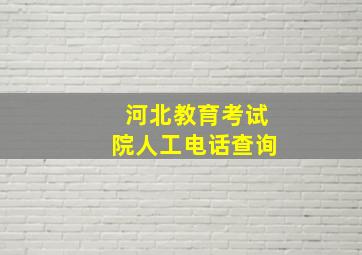 河北教育考试院人工电话查询