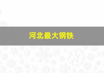 河北最大钢铁