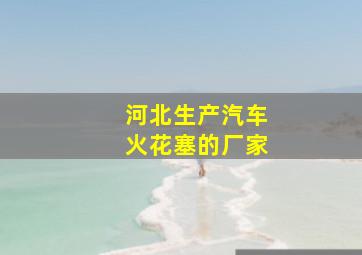 河北生产汽车火花塞的厂家