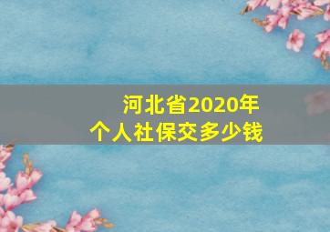 河北省2020年个人社保交多少钱