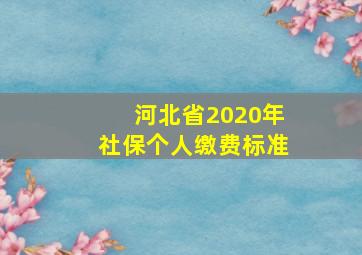 河北省2020年社保个人缴费标准