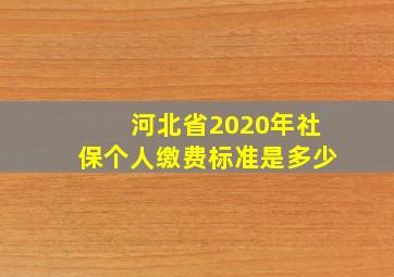 河北省2020年社保个人缴费标准是多少