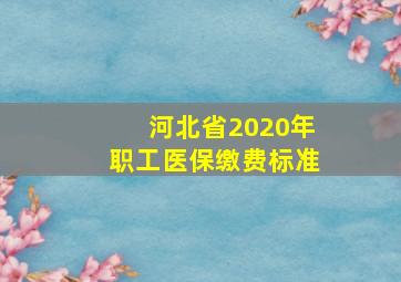 河北省2020年职工医保缴费标准