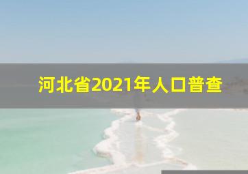 河北省2021年人口普查