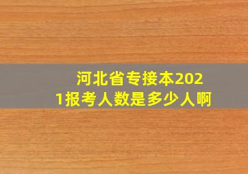 河北省专接本2021报考人数是多少人啊