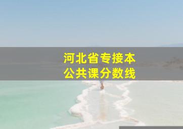 河北省专接本公共课分数线