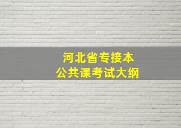 河北省专接本公共课考试大纲