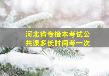 河北省专接本考试公共课多长时间考一次