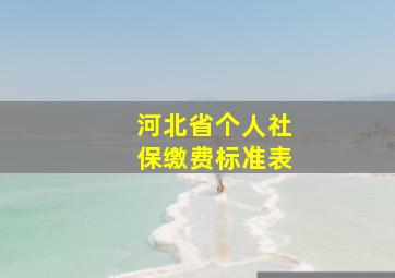 河北省个人社保缴费标准表