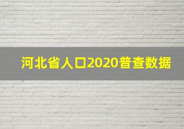 河北省人口2020普查数据