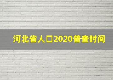 河北省人口2020普查时间