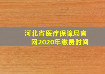 河北省医疗保障局官网2020年缴费时间