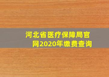 河北省医疗保障局官网2020年缴费查询