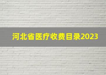 河北省医疗收费目录2023