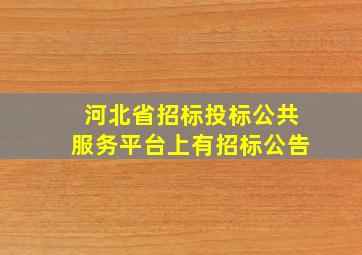 河北省招标投标公共服务平台上有招标公告