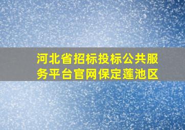 河北省招标投标公共服务平台官网保定莲池区