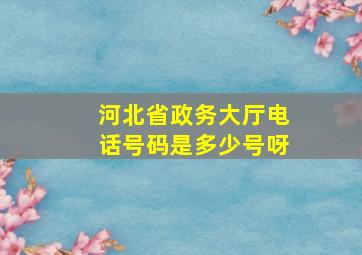 河北省政务大厅电话号码是多少号呀