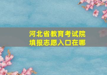 河北省教育考试院填报志愿入口在哪