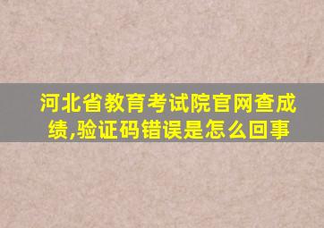 河北省教育考试院官网查成绩,验证码错误是怎么回事