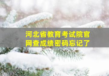 河北省教育考试院官网查成绩密码忘记了