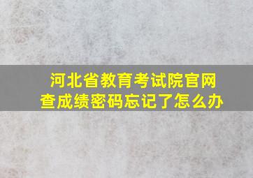 河北省教育考试院官网查成绩密码忘记了怎么办