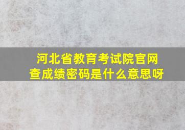 河北省教育考试院官网查成绩密码是什么意思呀