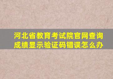 河北省教育考试院官网查询成绩显示验证码错误怎么办