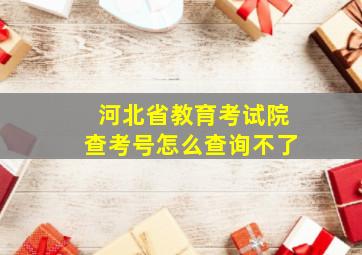 河北省教育考试院查考号怎么查询不了