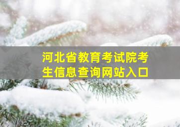 河北省教育考试院考生信息查询网站入口