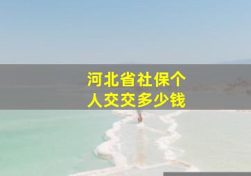 河北省社保个人交交多少钱