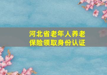 河北省老年人养老保险领取身份认证