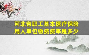 河北省职工基本医疗保险用人单位缴费费率是多少