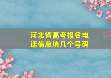 河北省高考报名电话信息填几个号码