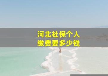 河北社保个人缴费要多少钱