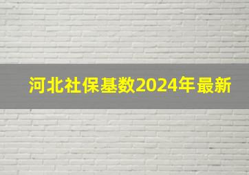 河北社保基数2024年最新