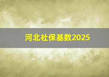 河北社保基数2025