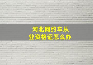 河北网约车从业资格证怎么办