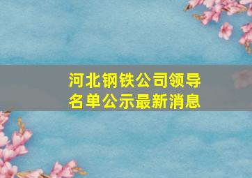 河北钢铁公司领导名单公示最新消息