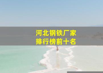 河北钢铁厂家排行榜前十名