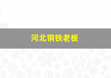 河北钢铁老板