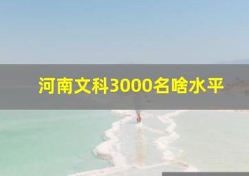 河南文科3000名啥水平